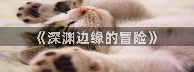 天堂漫画在线免费阅读：《深渊边缘的冒险》