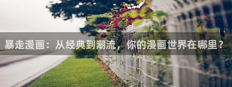 天堂漫画十八禁：暴走漫画：从经典到潮流，你的漫画世界在哪里？