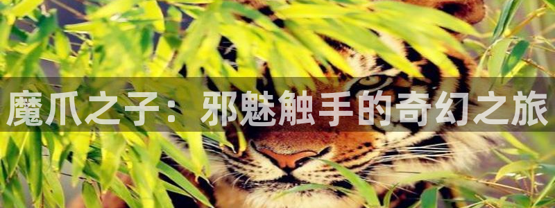 jm天堂漫画网站：魔爪之子：邪魅触手的奇幻之旅
